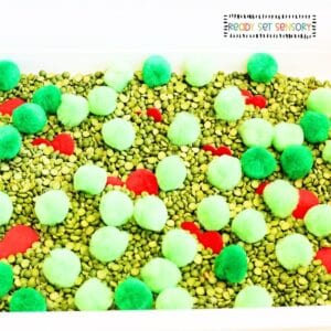 Grinch Sensory Bin