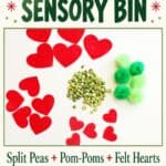 Grinch Sensory Bin - Clean Up and Storage