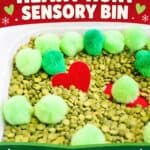 Grinch Sensory Bin - Skills Kids Build