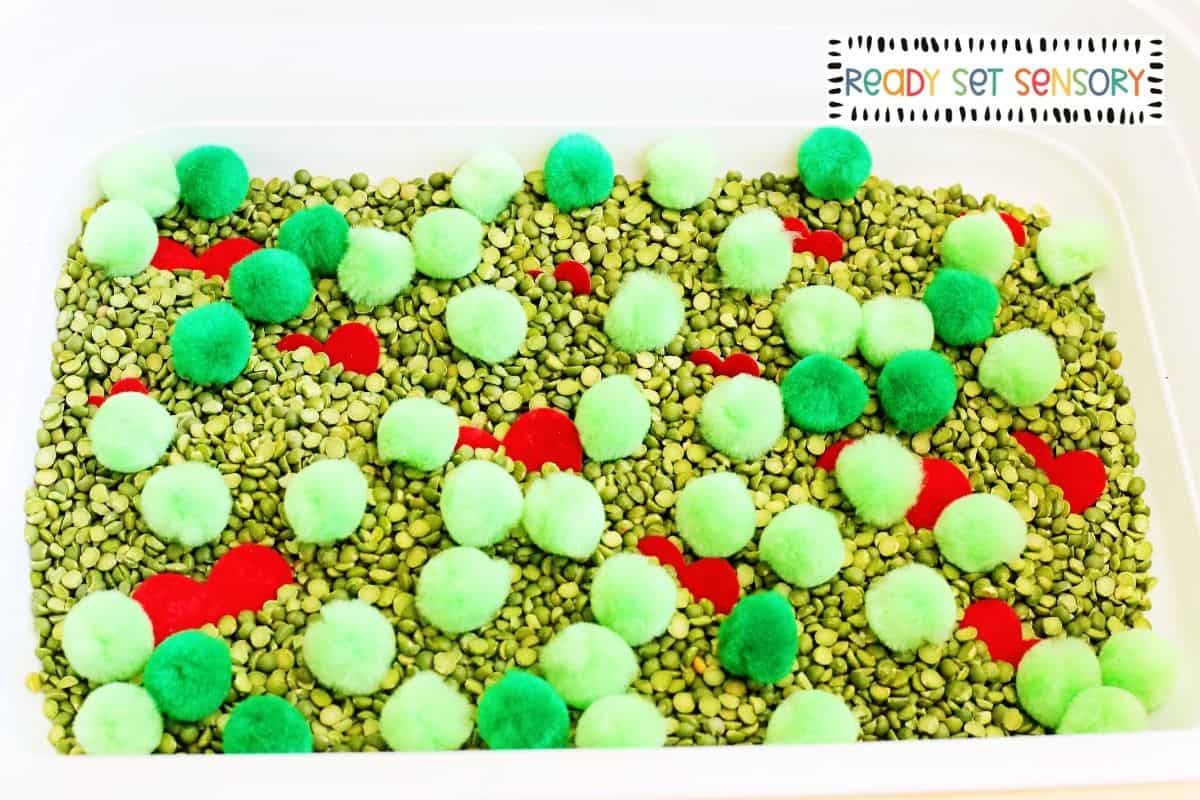 Grinch Sensory Bin - Step 1