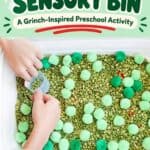 Grinch Sensory Bin - Tips and Variations