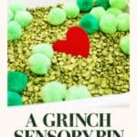 Grinch Sensory Bin - Ways to Play