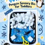 Penguin Sensory Bin - 12