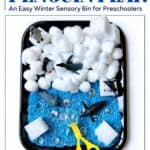 Penguin Sensory Bin - More Sensory Ideas