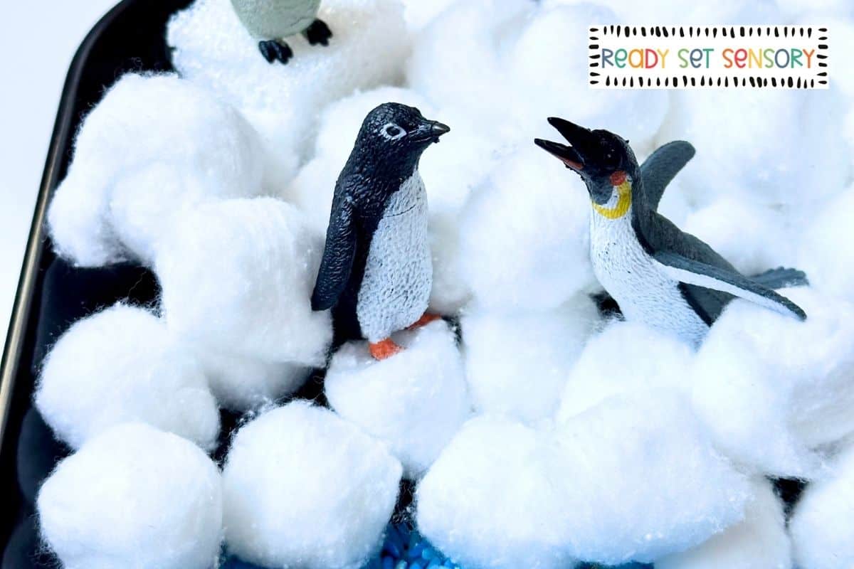 Penguin Sensory Bin - Step 2