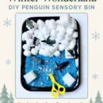 Penguin Sensory Bin - Ways to Play
